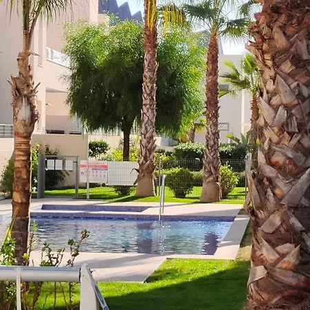 Amalia Eco Torrevieja